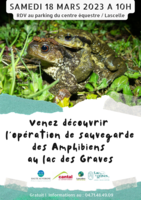 Affiche Amphibiens lac des Graves