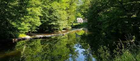 cpie biodiversite