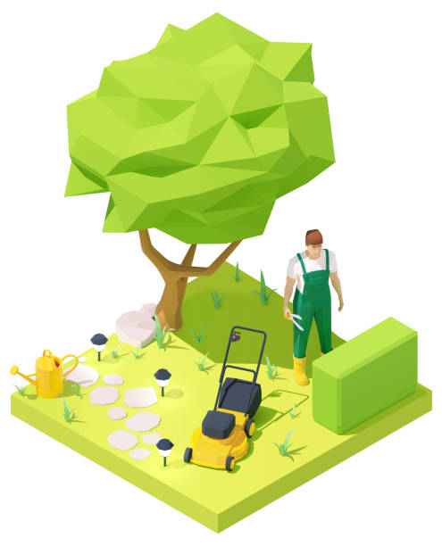 istockphoto-1186721865-612x612